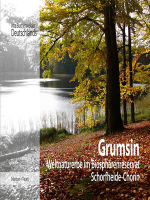 cover image of Grumsin